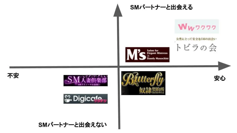 SMサイトの比較図